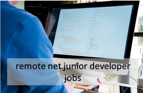 junior developer jobs